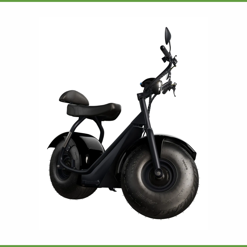 Scooter Elétrica TUI 1000W 2